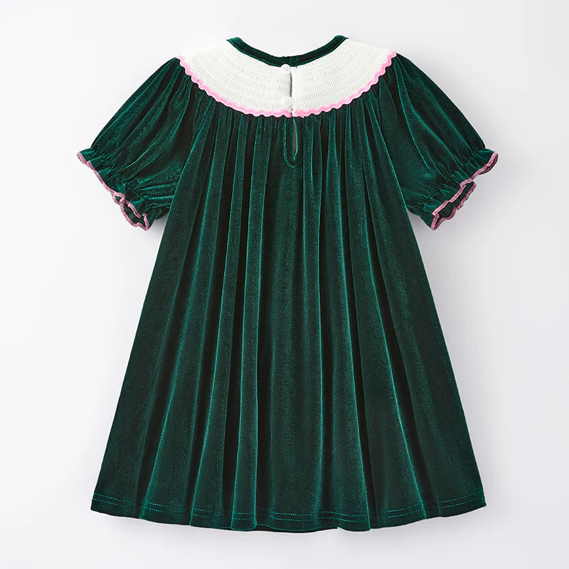 Embroidered Green Velvet Dress