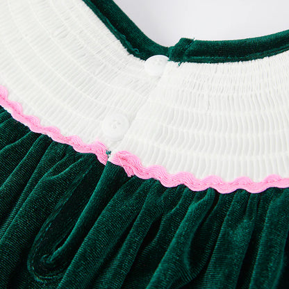 Embroidered Green Velvet Dress